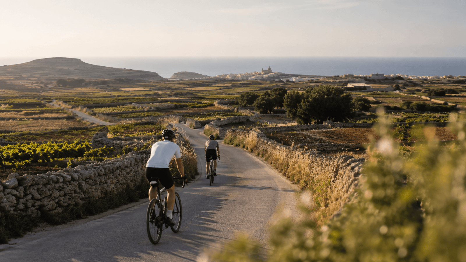 Cyclists riding through the limestone countryside of Gozo with sea views in the distance.